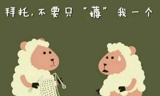 各种APP媷羊毛