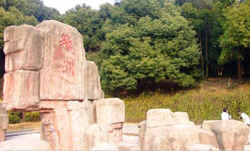 二语音助手
