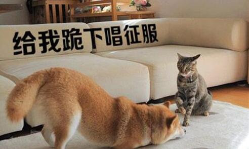 二市场卖什么最赚钱