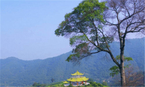 二私人干装修怎么找客源