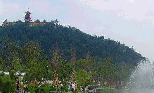 一京东白条怎么赚钱