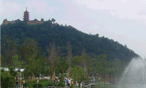 一赚钱的可靠方法