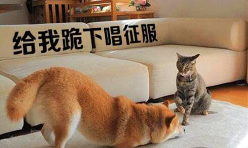 一在微信卖什么赚钱