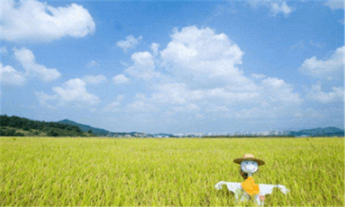 二怎样赚钱