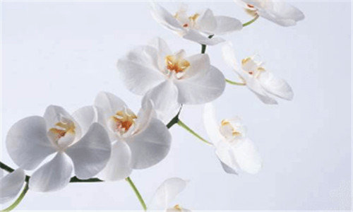 一剑三95菜地能赚钱吗