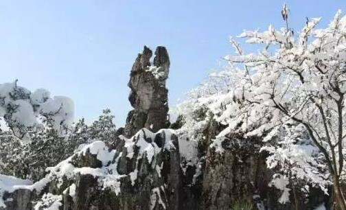 三网上赚钱导师带赚