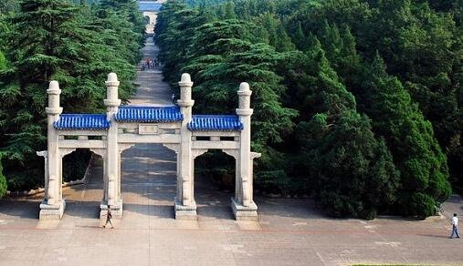 三绿叶合法吗
