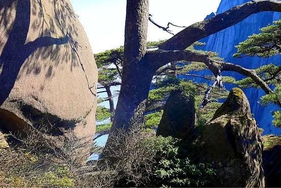 怎么写剧本赚钱