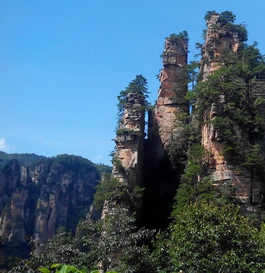 钓鱼能挣钱不