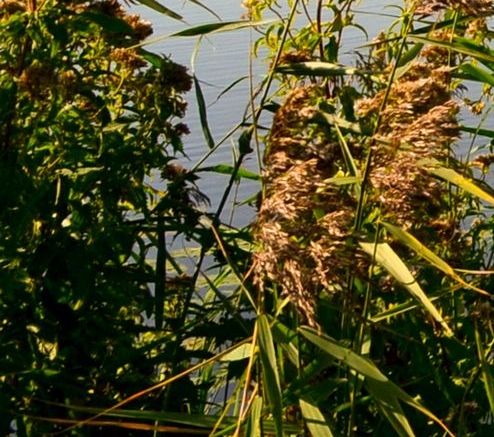 春节快速赚钱案例分享会