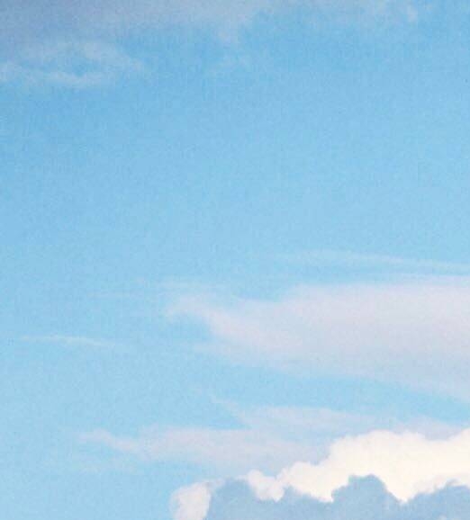 写自己真实感受的作文