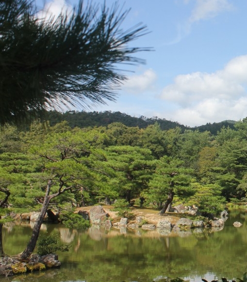 新疆旅游赚钱项目