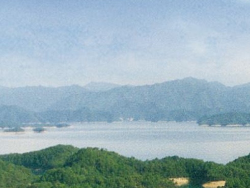 广告创意新颖例子