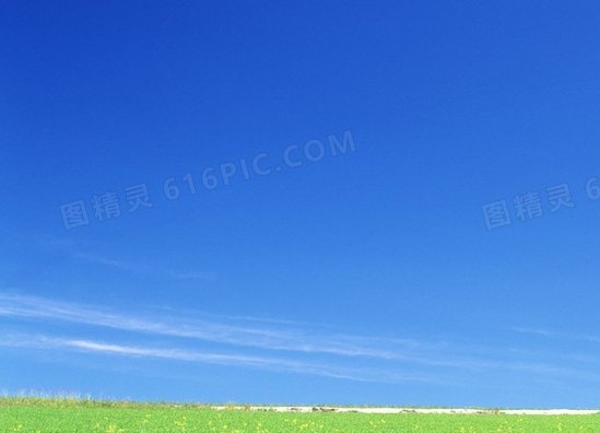 赚钱最快的方法