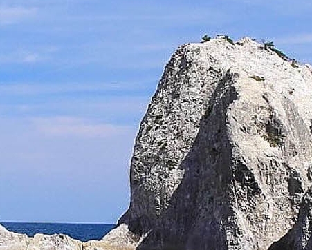 流动养蜂赚钱吗