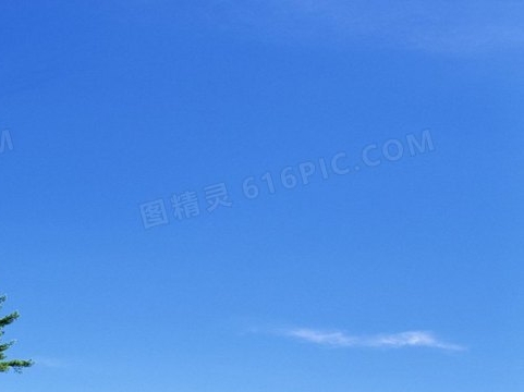 宠物起诉成功案例