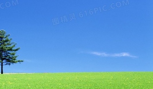 脑瘫宝宝成功案例