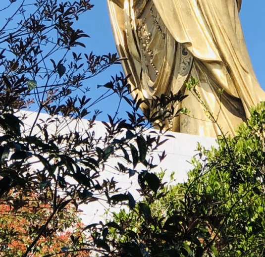免费模式赚钱案例