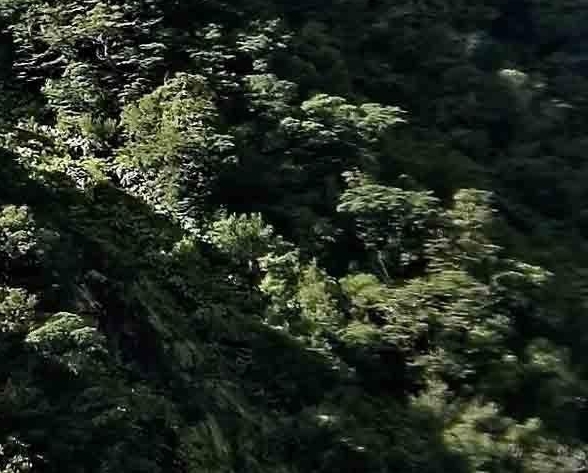 线上歌手赚钱方法