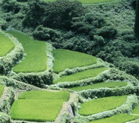 发抖音挣钱