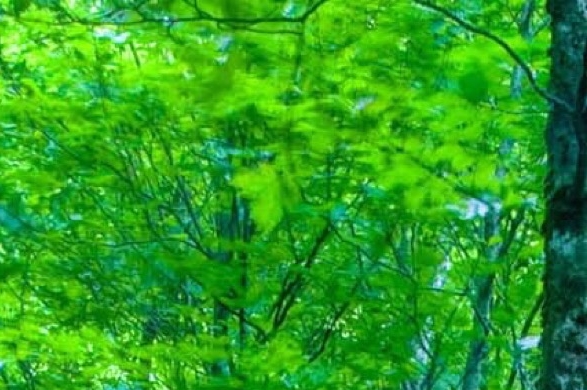 杠杆借力空手赚钱案例