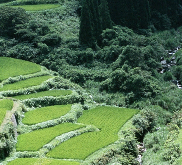 家园沟通成功案例
