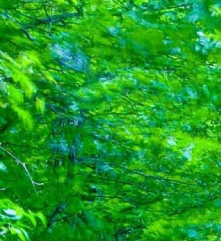 养羊怎么样才能赚钱