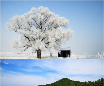 项目真赚钱分享心得怎么写