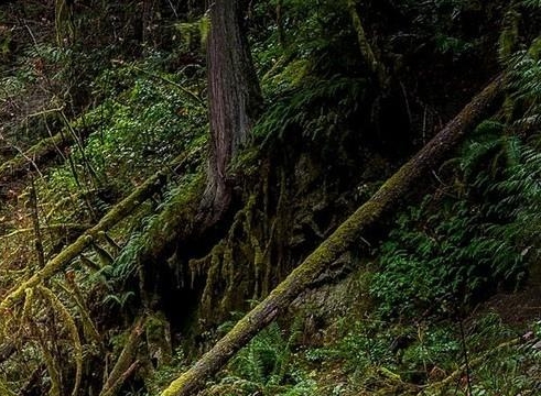 客户成功案例分享模板