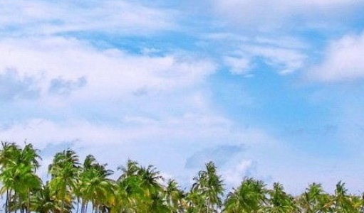 留守儿童转化成功案例