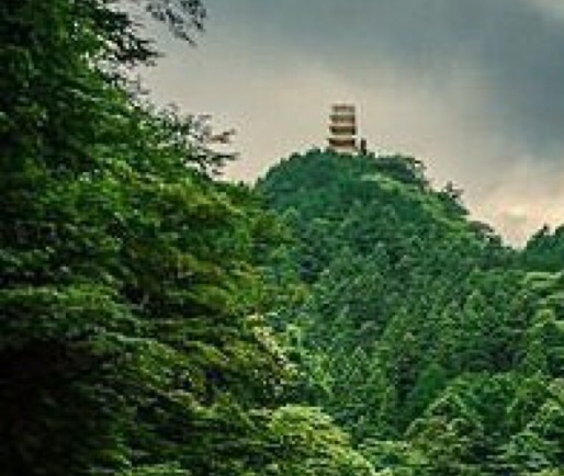 绘画成功案例分享稿件