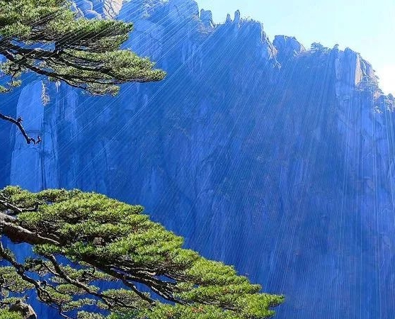 鼻咽癌转肺治疗成功案例