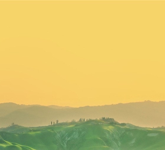 锦鲤养殖