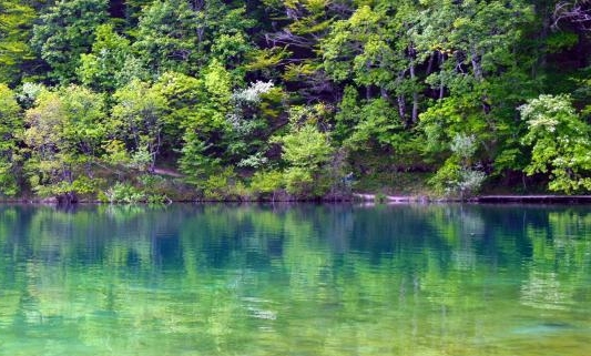 春节拍照赚钱方法视频