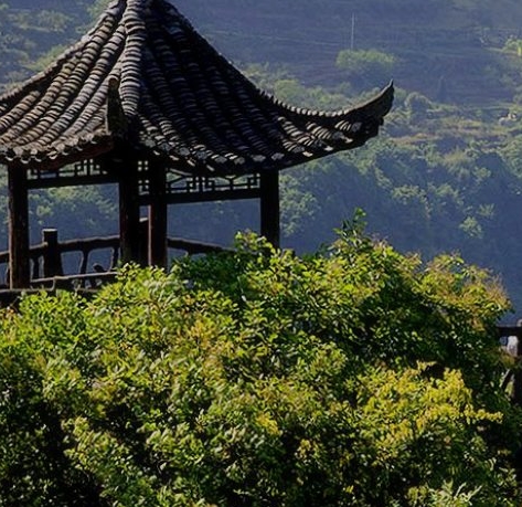 班级分层管理