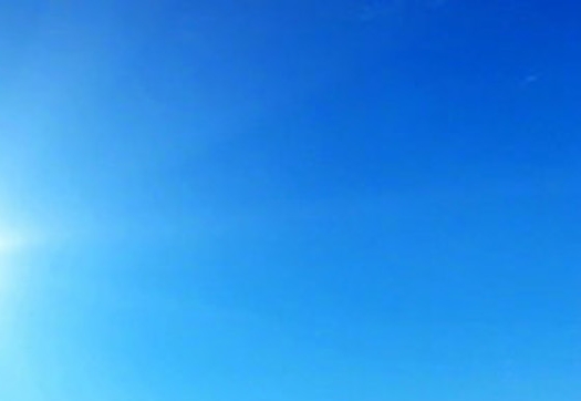 蒲公英治愈癌症案例