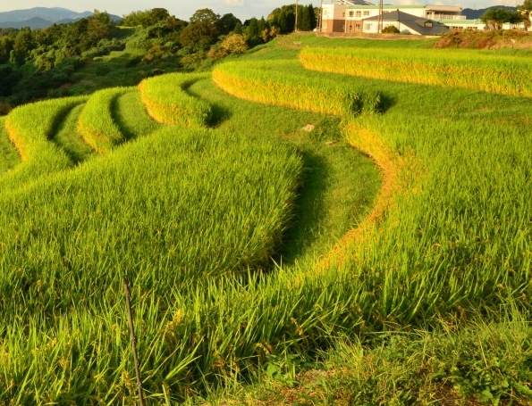 非常成功的挣钱案例