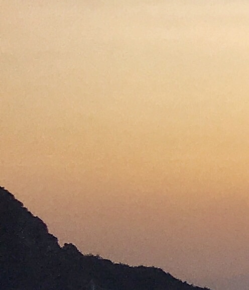 薅羊毛项目网站