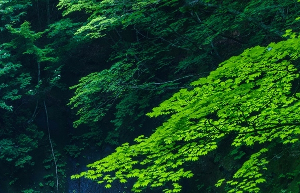用钱赚钱这本书