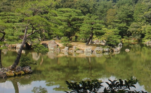 高手赚钱的案例