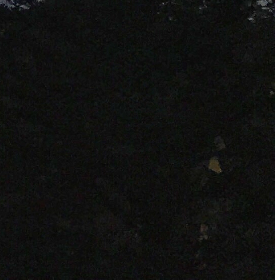 靠顺风车赚钱心得