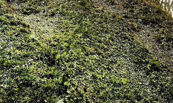 虚拟项目赚钱教程