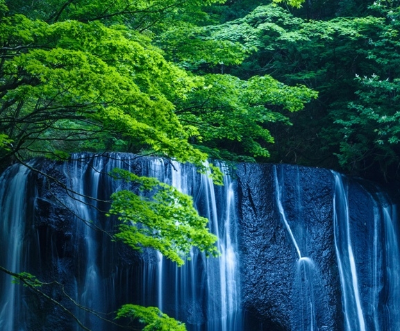 没钱怎么干项目赚钱