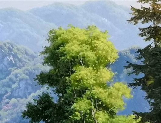刷抖音怎么赚钱