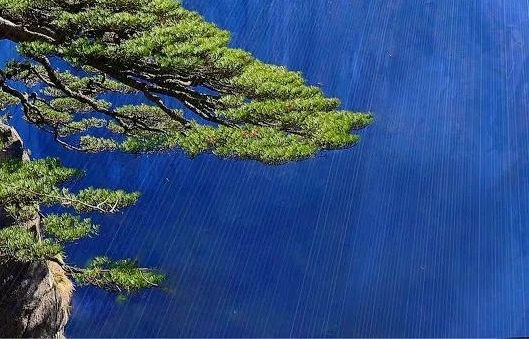 水龙头赚钱案例