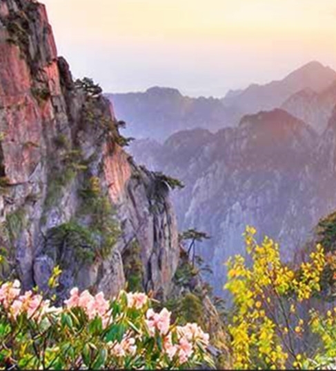 岳麓山做什么项目赚钱的
