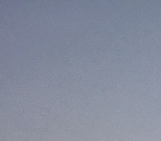 最新免费送的赚钱案例