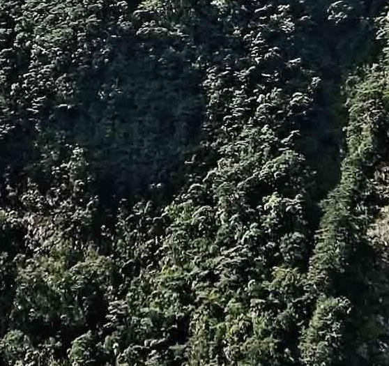 农业种植项目可行性报告
