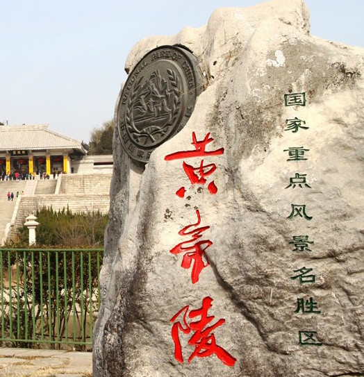 直播卖理疗项目，中医哪个最赚钱？