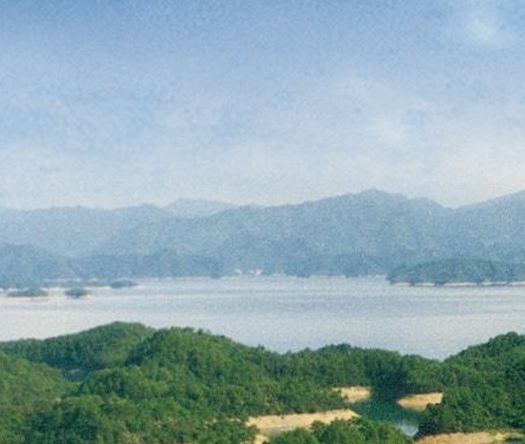 西游之路能赚钱吗